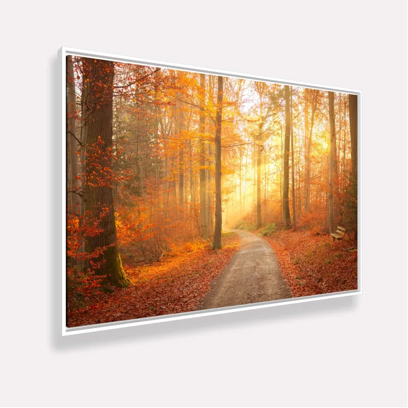 Quadro Paisagem Caminho do Sol Encanto das Cores Outonais