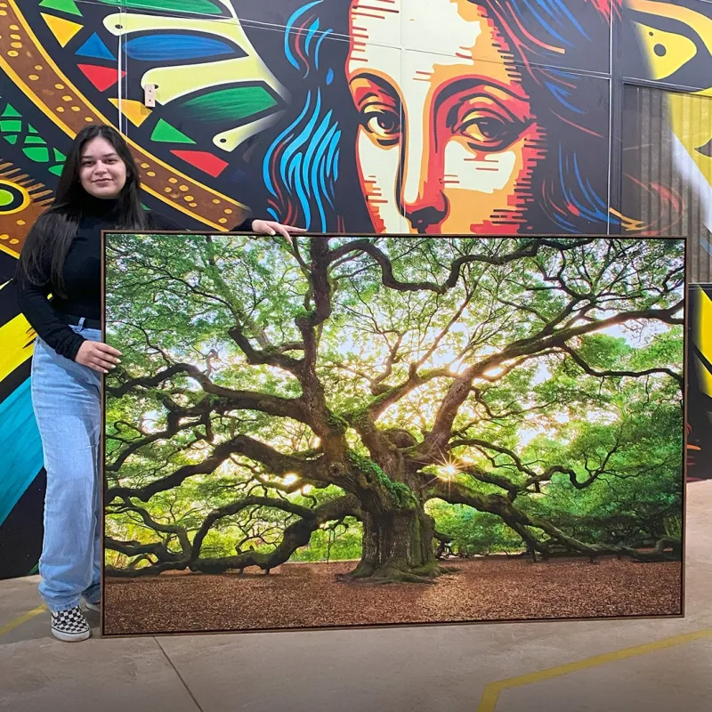 Quadro Árvore Carvalho Antigo Grandes Raízes