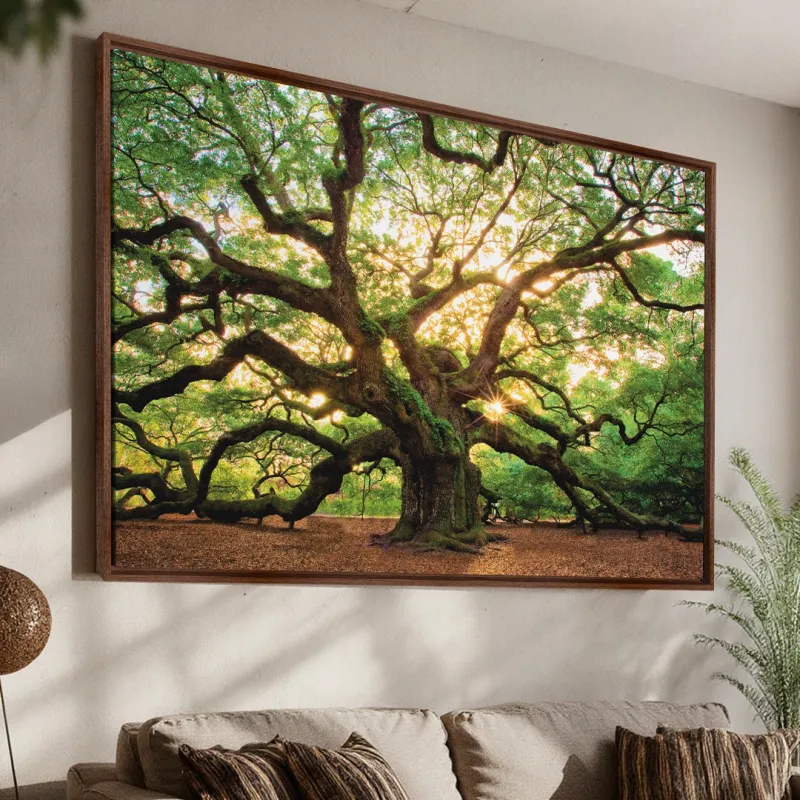 Quadro Árvore Carvalho Antigo Grandes Raízes