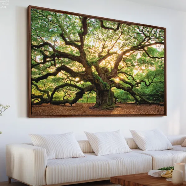 Quadro Árvore Carvalho Antigo Grandes Raízes