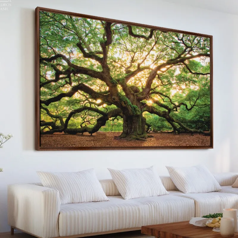 Quadro Árvore Carvalho Antigo Grandes Raízes