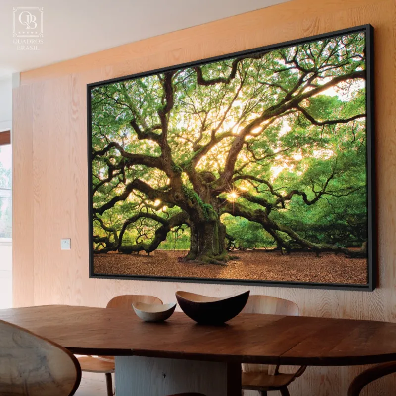 Quadro Árvore Carvalho Antigo Grandes Raízes