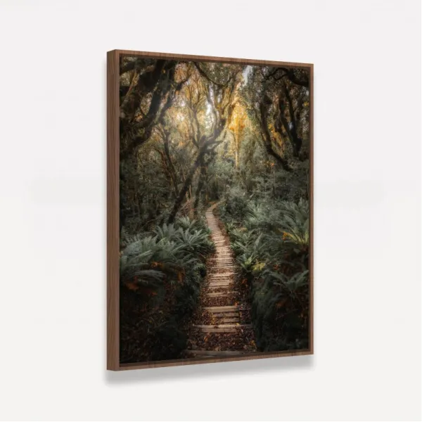 Quadro Paisagem Trilha de Madeira entre a Floresta