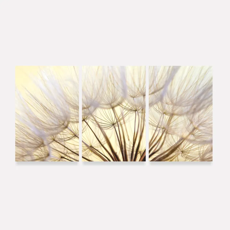 Quadro Flores Dente de Leao Closeup Natureza em Arte 3 Pecas