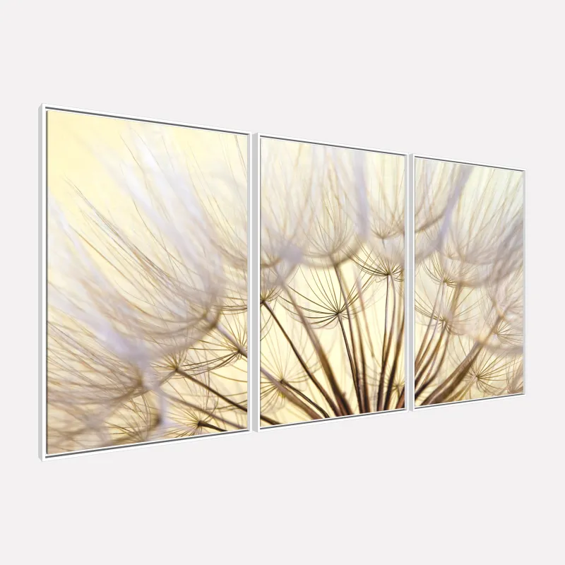 Quadro Flores Dente de Leao Closeup Natureza em Arte 3 Pecas