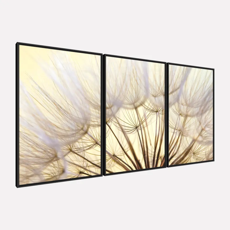 Quadro Flores Dente de Leao Closeup Natureza em Arte 3 Pecas