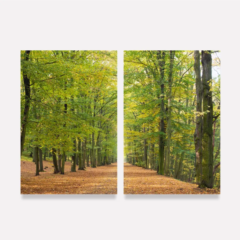 Quadro Paisagem Inspiração Natural Atmosfera Serena