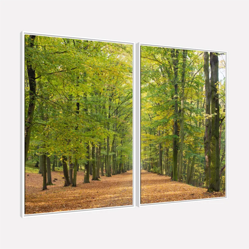 Quadro Paisagem Inspiração Natural Atmosfera Serena