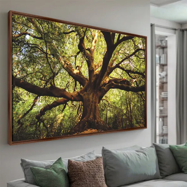 Quadro Árvore Parque  Ilice del Carrinu - Itália