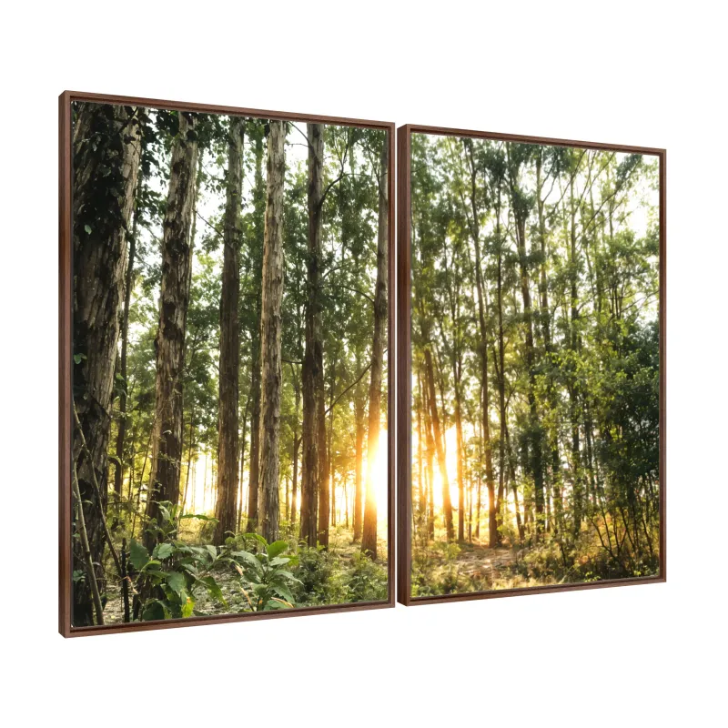 Quadro Duo Paisagem Brilho na Natureza O Sol entre as Árvores