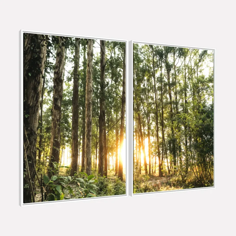 Quadro Duo Paisagem Brilho na Natureza O Sol entre as Árvores
