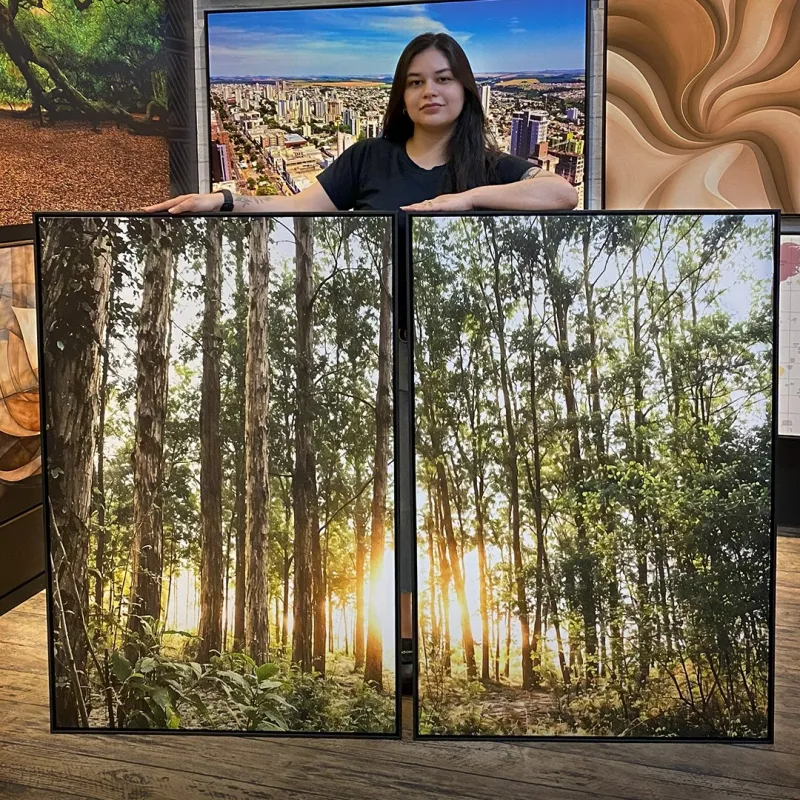 Quadro Duo Paisagem Brilho na Natureza O Sol entre as Árvores