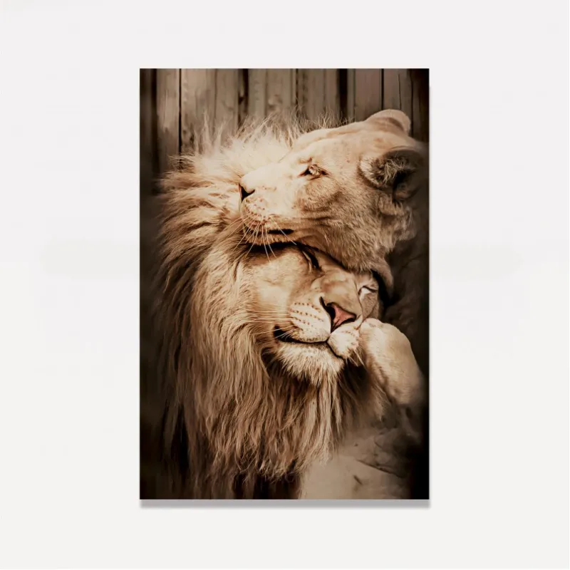 Quadro Casal de Leões Afeto - Cor Sépia
