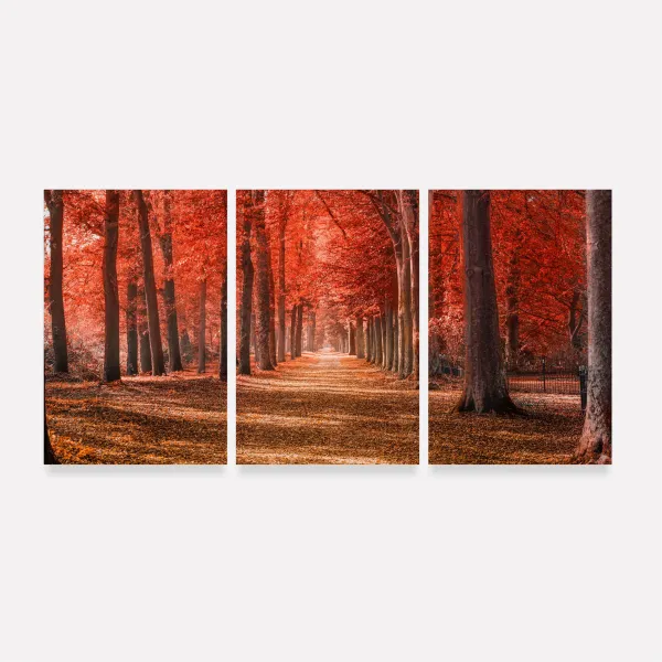 Quadro Paisagem Floresta Vermelha Fogo do Outono