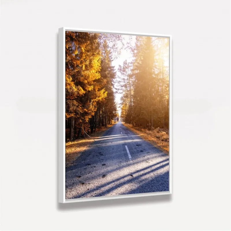Quadro Paisagem Corredor de Árvores - Trees Around de Road